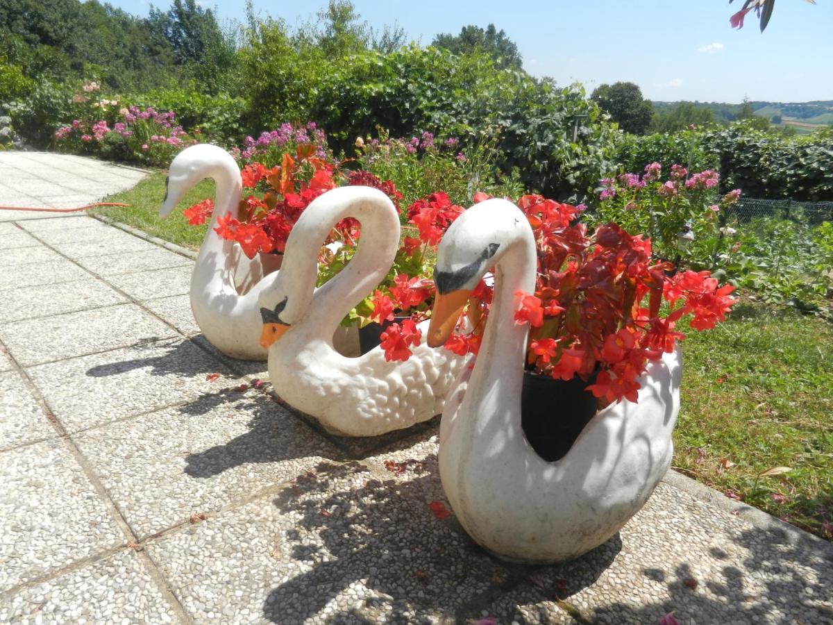Urlaub Fuer Die Seele - Erholung Pur In Der Natur - Ferienhaus Mit Infrarotkabine & Relax-Raum Rucmanci Exterior foto