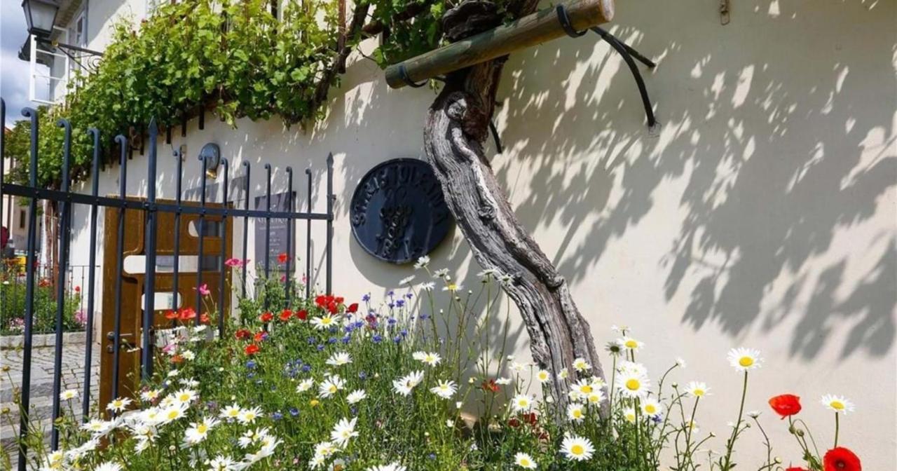 Urlaub Fuer Die Seele - Erholung Pur In Der Natur - Ferienhaus Mit Infrarotkabine & Relax-Raum Rucmanci Exterior foto